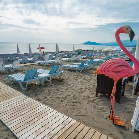 ホテル Campus Hill アランヤ